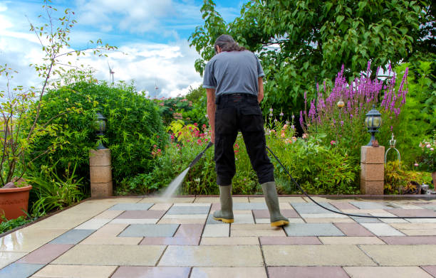 Trusted Montrose, MN Pressure Washing Services Experts