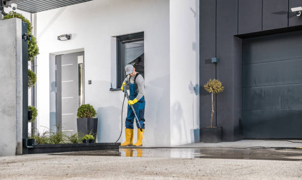 Best Gutter Cleaning and Brightening in Montrose, MN